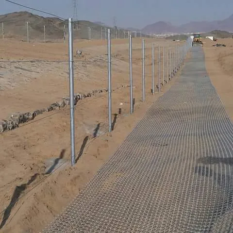 شبك أمني من أعمال أُسس العواصم في الرياض